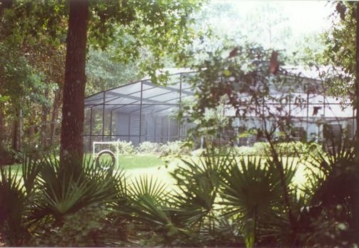 Backyard